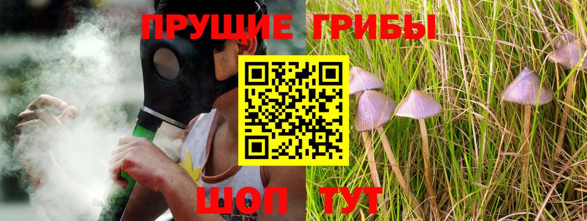 Галлюциногенные грибы GOLDEN TEACHER  Вход с VPN  Псилоцибиновые грибы мицелий  купить наркоту  Звенигород 