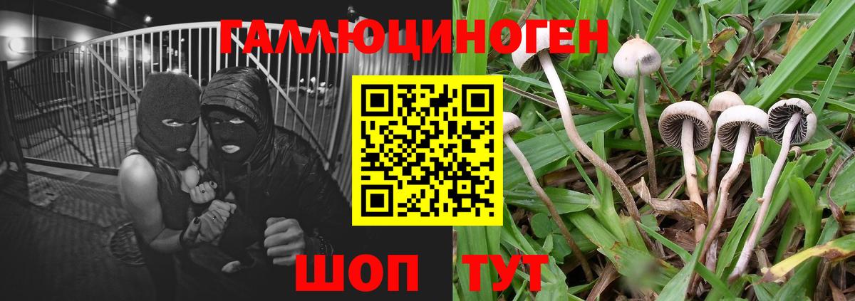 Галлюциногенные грибы ЛСД Звенигород