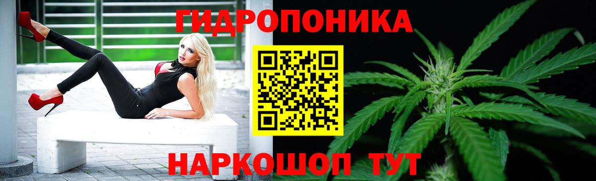 Бошки Шишки White Widow  Бошки Шишки VHQ  Вход с VPN  Звенигород  Каннабис ГИДРОПОН 