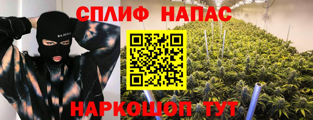 Марихуана семена Звенигород